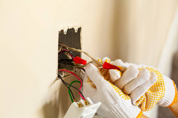 Best Electrical Panel Upgrades  in Newton, TX